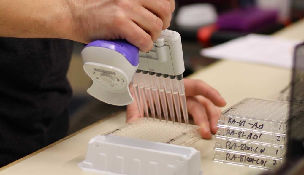 Antibody Sequencing Green Mountain Antibodies