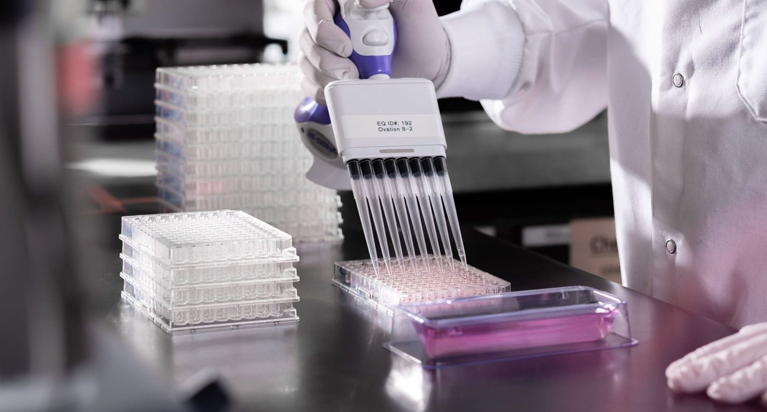 Antibody Services Green Mountain Antibodies