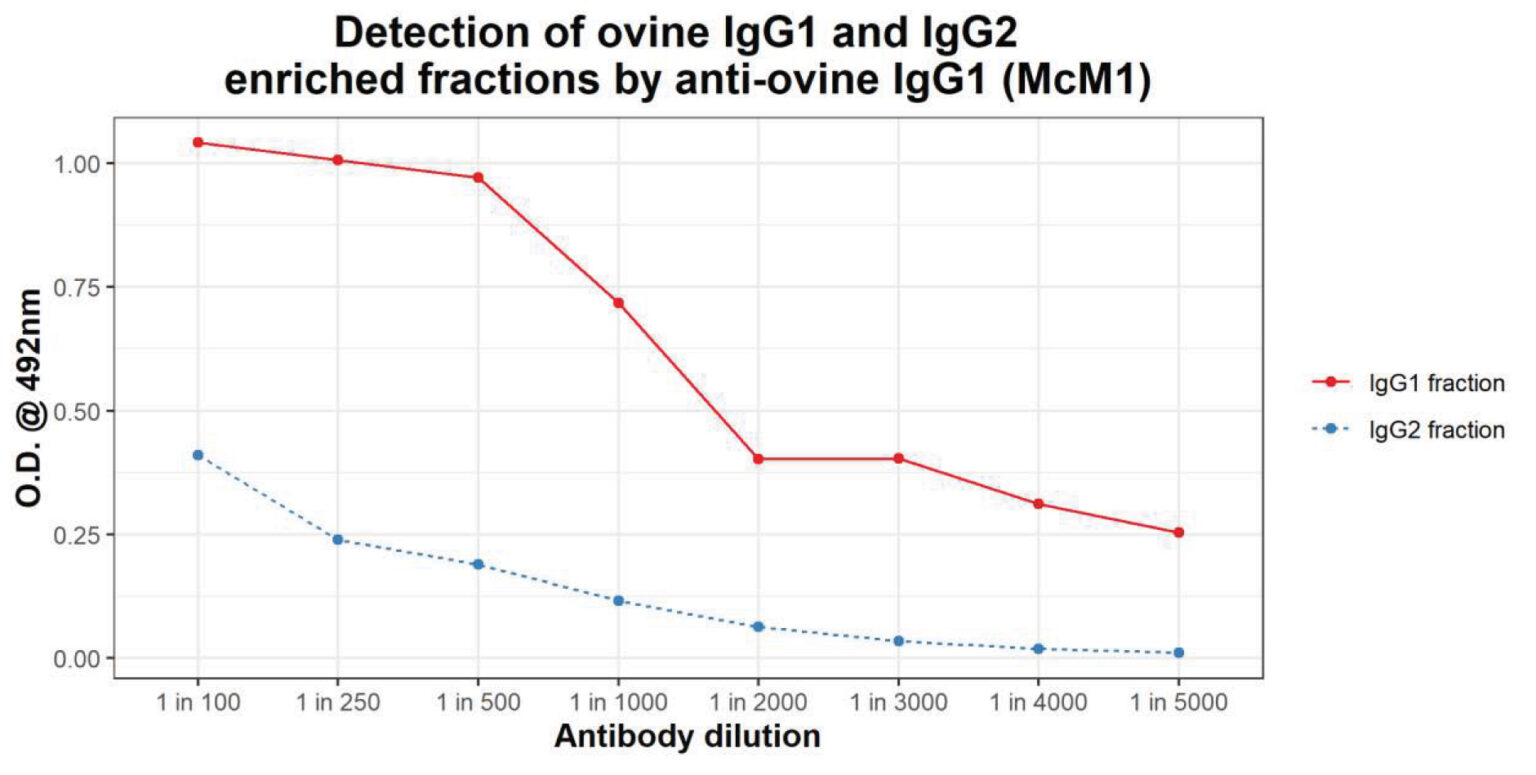 NEAH4060 Green Mountain Antibodies