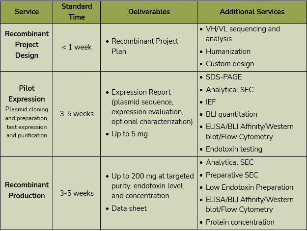 service details and timeline for recombinant antibody service